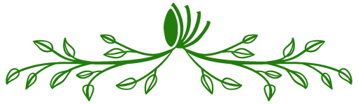 Divider Image